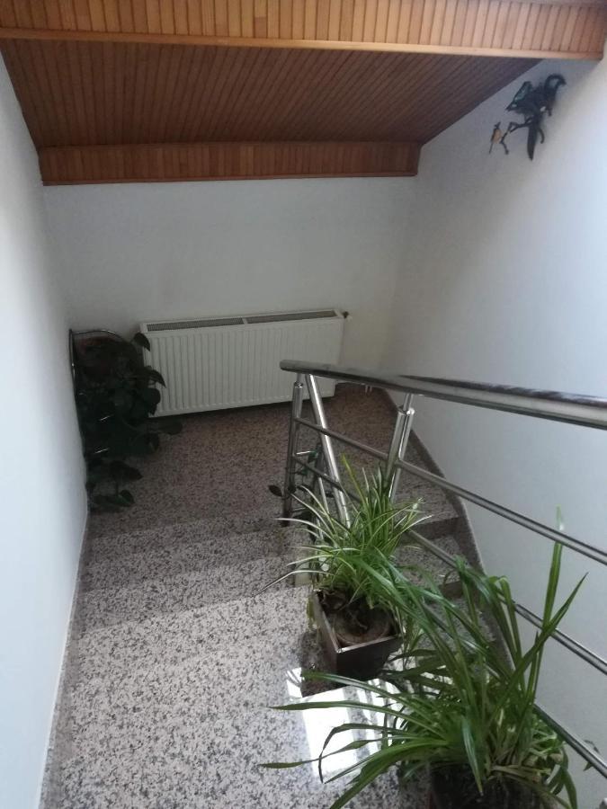 Drago Kremenjas Apartment Delnice Exterior photo